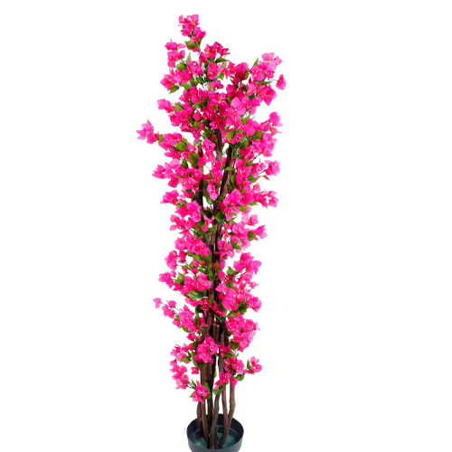 BUGAMBILIA VERTICAL H200 CM APROX. / M - PLA