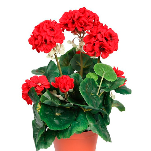 GERANEO MAVERICK H25 CM APROX. / BOL