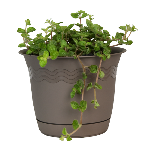 LLAMA PLATA H25 CM APROX. / BOL