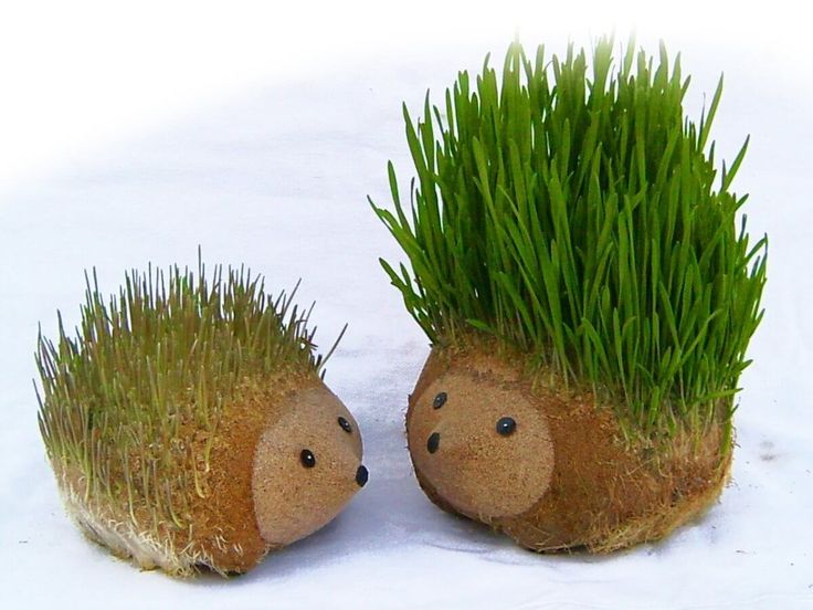 MR. GRASS Ø12 X H8 CM APROX.