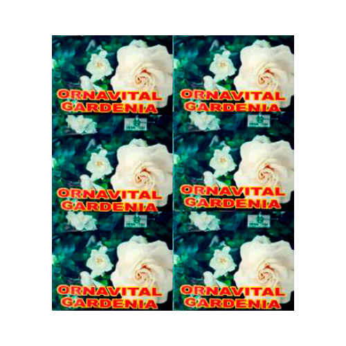 ORNAVITAL ABONO PARA GARDENIA EN SOBRE 10 G APROX.