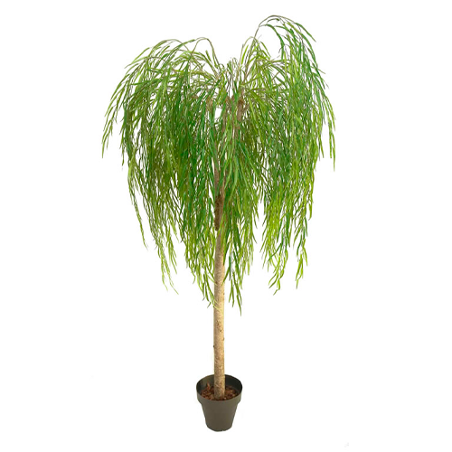 SAUCE H25 CM APROX. / BOL