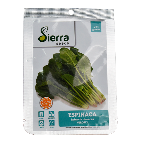 SEMILLA ESPINACA VIROFLAY / SIERRA S.