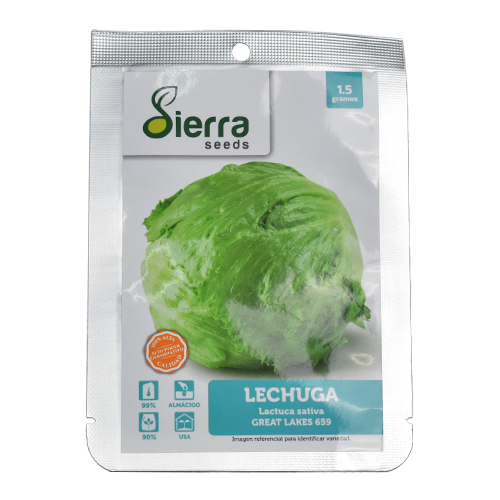 SEMILLA LECHUGA GREAT LAKES 659 / SIERRA S.