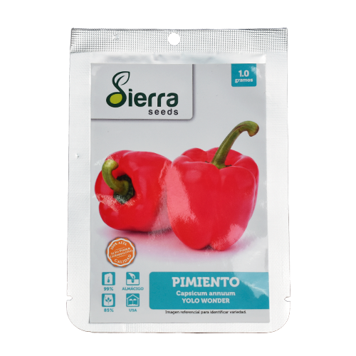 SEMILLA PIMIENTO CALIFORNIA WONDER / SIERRA S.