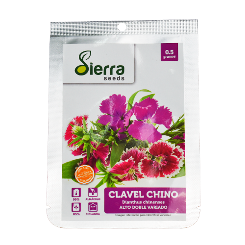 SEMILLA CLAVEL CHINO / SIERRA S.