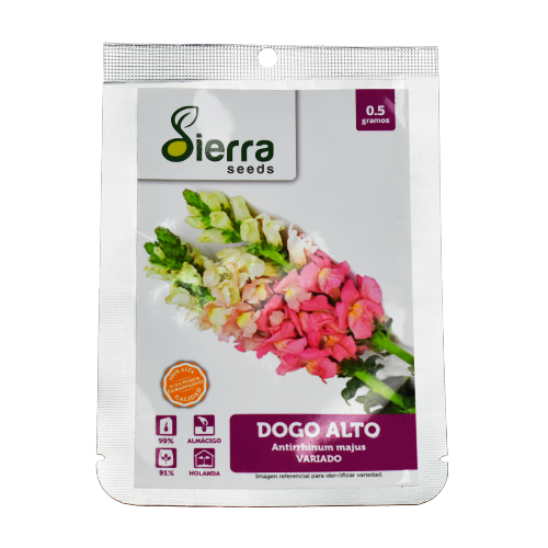 SEMILLA DOGO ALTO / SIERRA S.