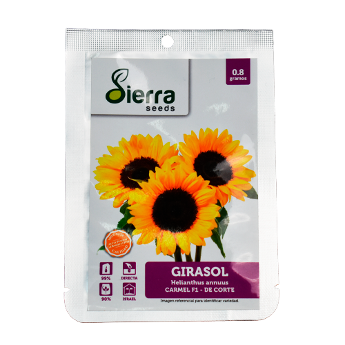 SEMILLA GIRASOL / SIERRA S.