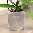 MACETA COMERCIAL ORQUIDEA # 15