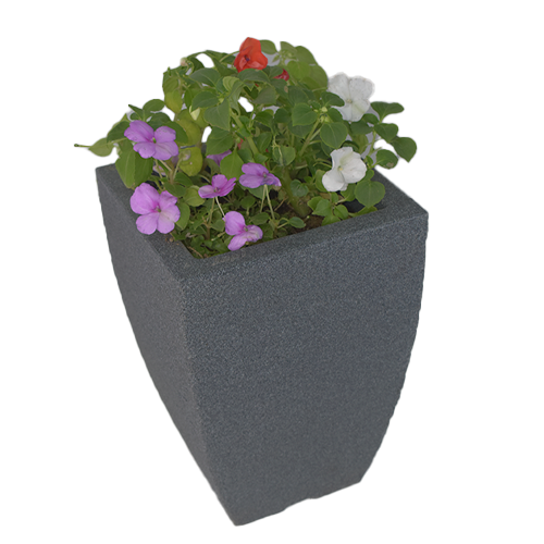  ALEGRIA DEL HOGAR EN MACETA PREMIUM 25CM APROX
