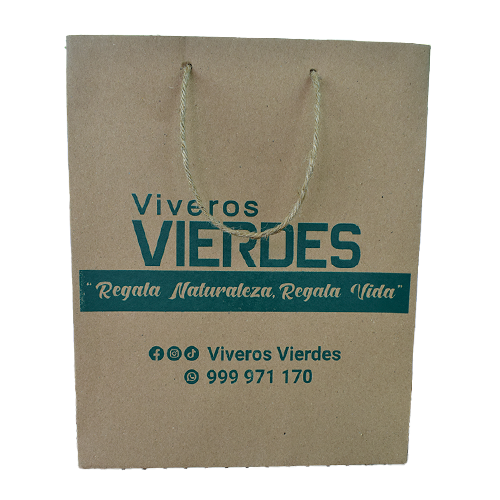BOLSA DE REGALO KRAFT H30 CM APROX.
