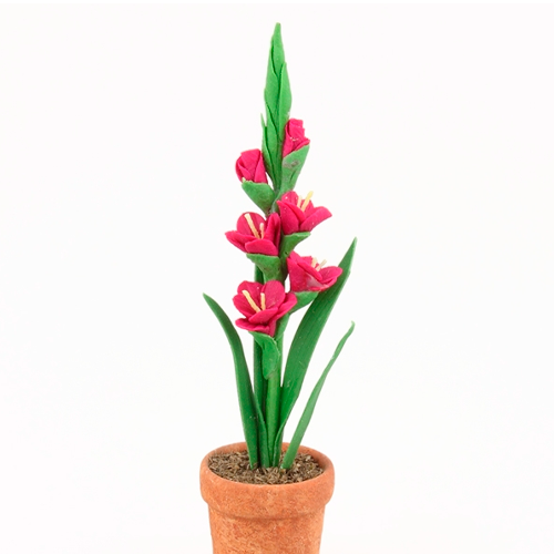GLADIOLO H25 CM APROX. / BOL