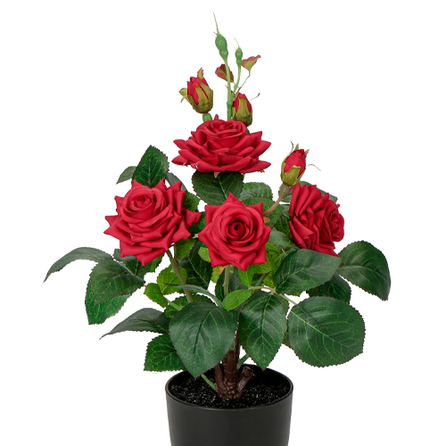 ROSA RAMILLETE H25 CM APROX. / BOL