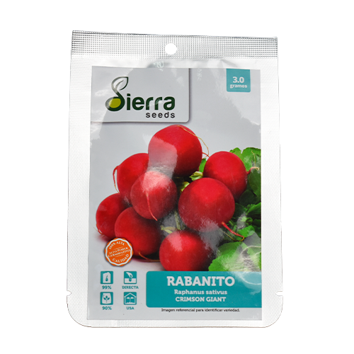 SEMILLA RABANITO CHIMSON  GIANT / SIERRA S.