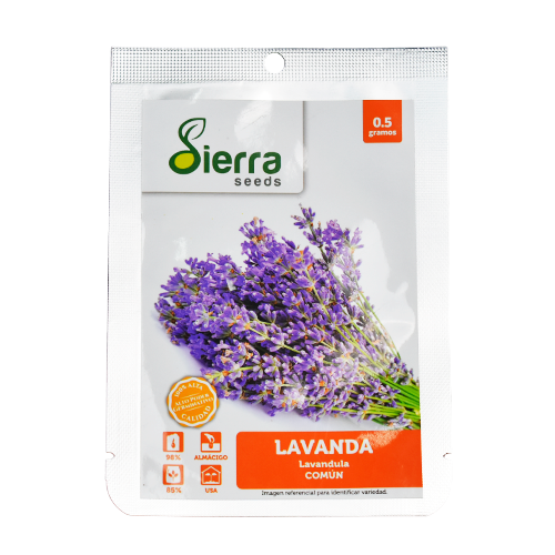 SEMILLA LAVANDA / SIERRA S.
