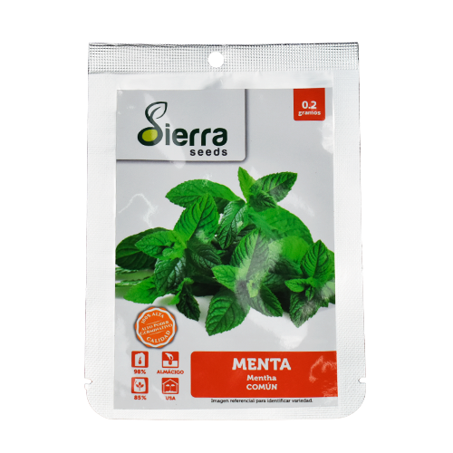 SEMILLA MENTA / SIERRA S.