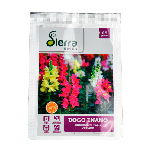 SEMILLA DOGO ENANO / SIERRA S.