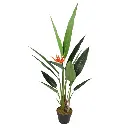 AVE DEL PARAISO H50 CM APROX. / BOL