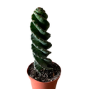 CANDELABRO TORNILLO H75 CM APROX. / BOL