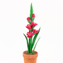 GLADIOLO H25 CM APROX. / BOL