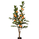 MANDARINA H175 CM APROX. / M - PLA