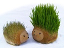 MR. GRASS Ø12 X H8 CM APROX.