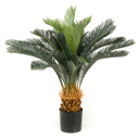 PALMERA CICA H25 CM APROX. / BOL