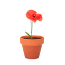 AMAPOLA H25 CM APROX. / BOL